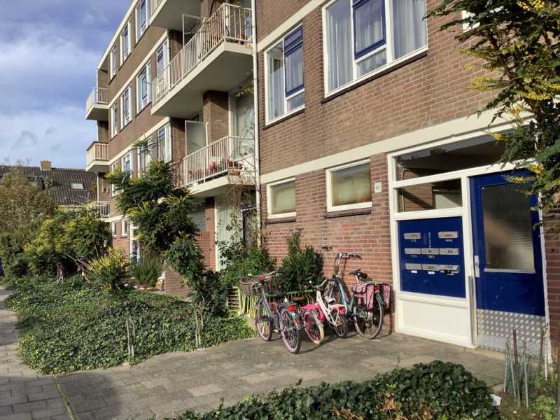 Johan de Wittstraat 59D