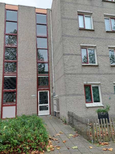 Basilicumweg 219, 1314 KA Almere, Nederland