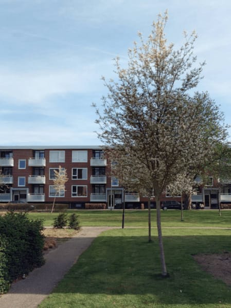 Herinckhavestraat 46, 7557 JM Hengelo, Nederland