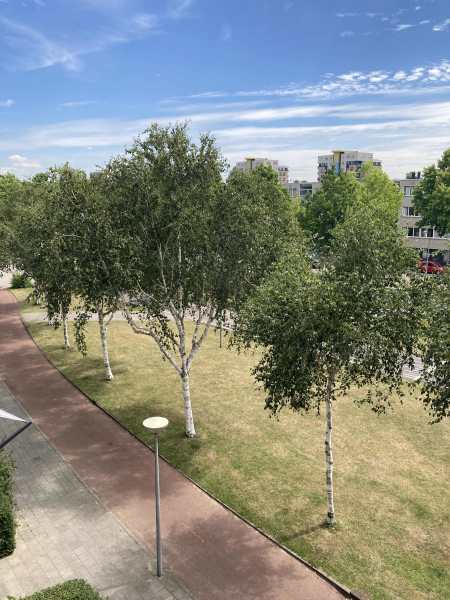 J.M. Den Uylstraat 56