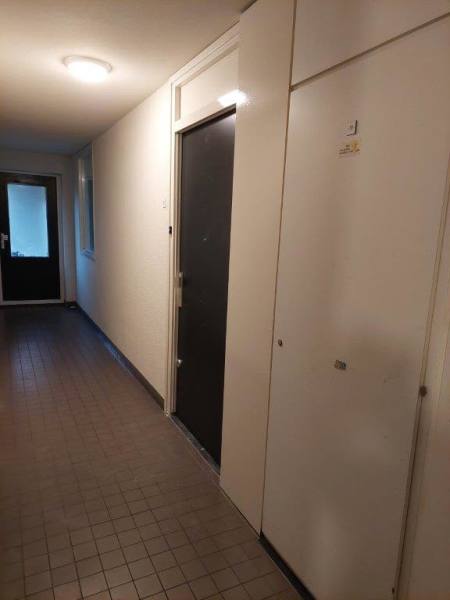 Pieter Vlamingstraat 169