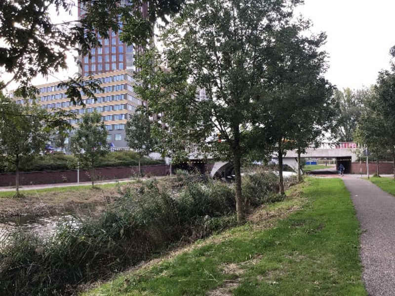 B. Merkelbachsingel 209