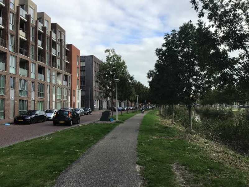 B. Merkelbachsingel 209