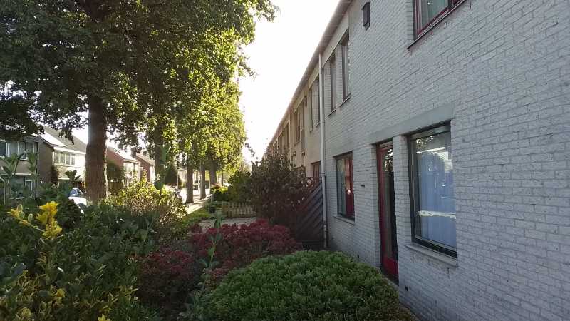 Korenaarstraat 32