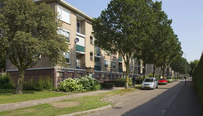 Dahliastraat 49, 3905 ZM Veenendaal, Nederland