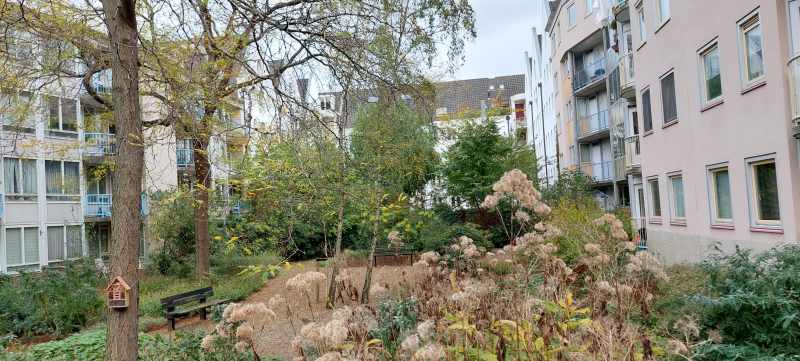 Vierwindendwarsstraat 12B