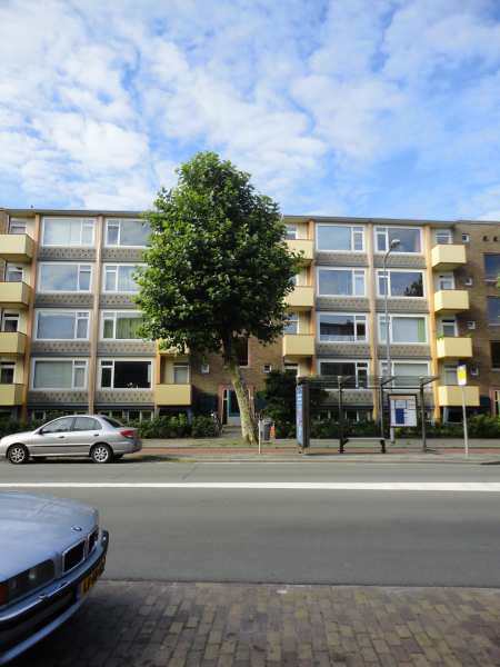 Asingastraat 122, 9716 ES Groningen, Nederland