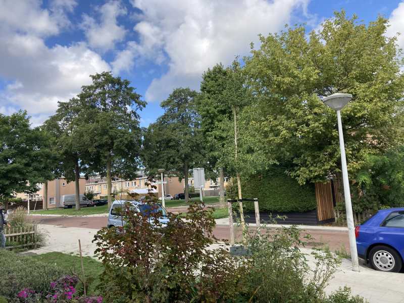 Mandarijnenstraat 60