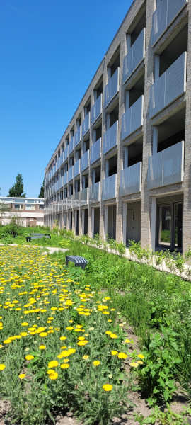 Johannes Vermeerstraat 57, 9718 SL Groningen, Nederland