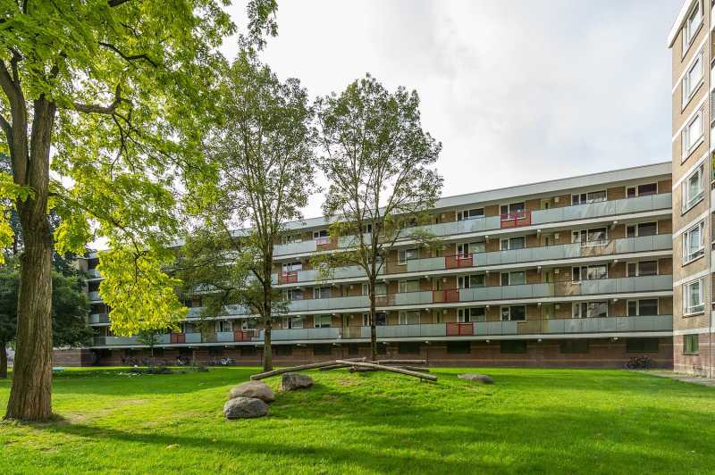 Valkenhorst 87, 3815 CC Amersfoort, Nederland