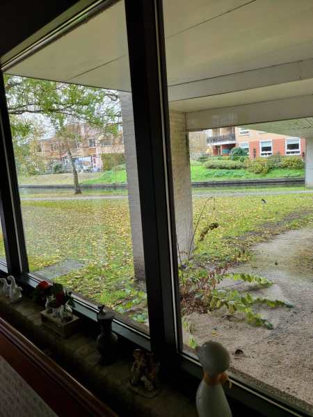 Koningin Wilhelminalaan 310