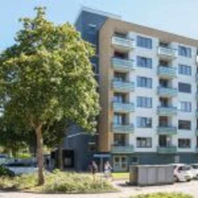 Henrica van Erpweg 119, 3732 BD De Bilt, Nederland