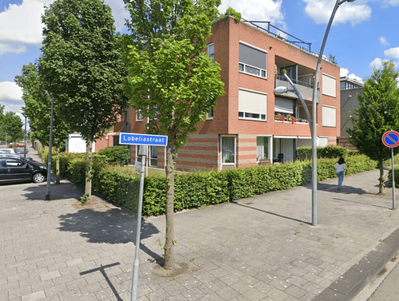 Lobeliastraat 66, 3772 JV Barneveld, Nederland