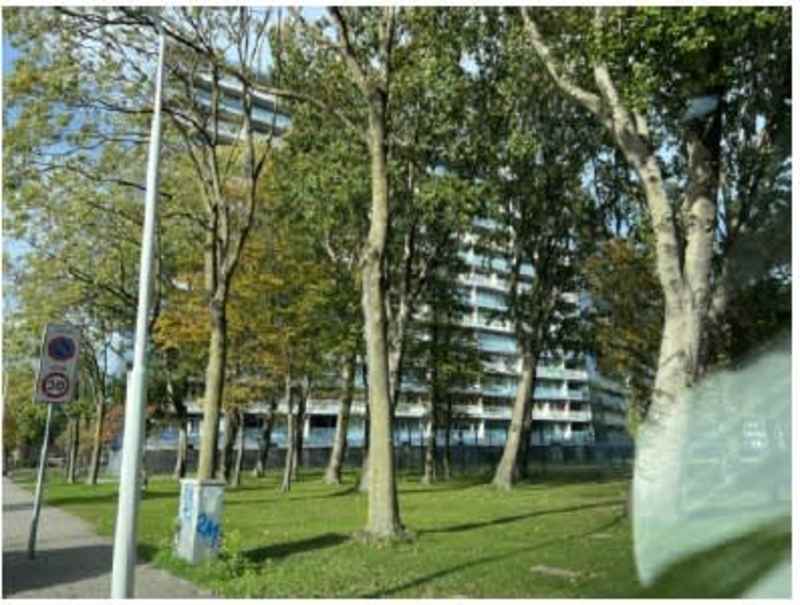 Pharus 77, 1503 EA Zaandam, Nederland