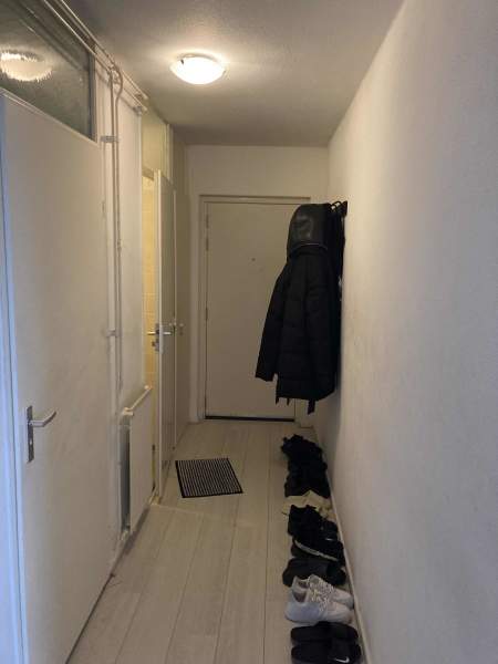 Kolfschotenstraat 53