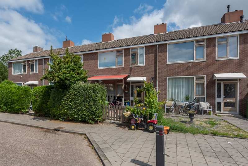 Tulpstraat 84