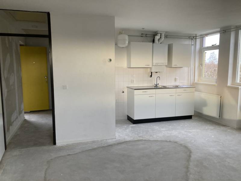 Wethouder de Vriesplantsoen 41