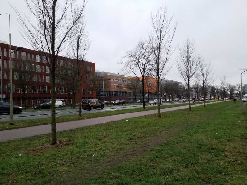 Freddie Oversteegenstraat 299