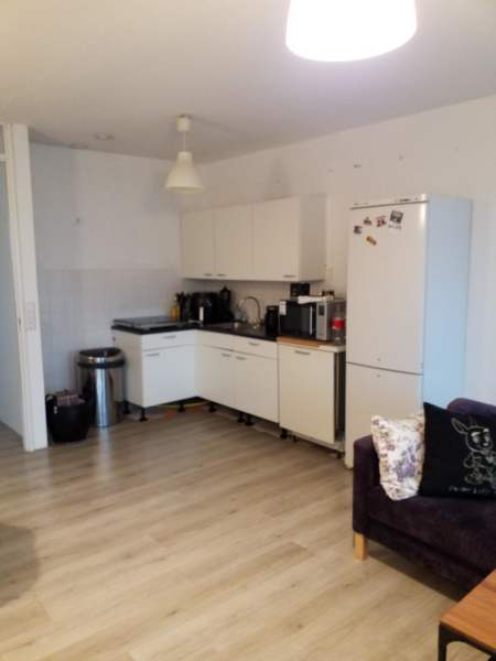 Freddie Oversteegenstraat 299