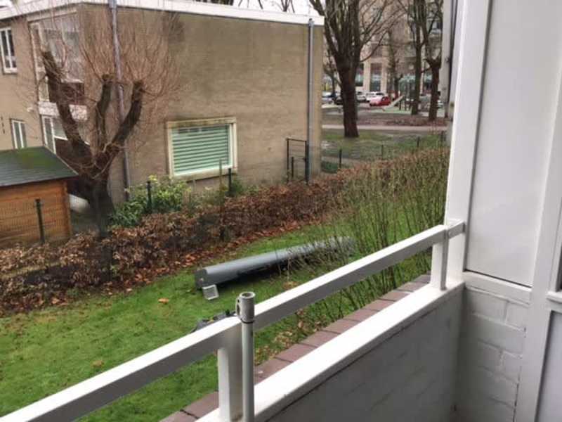 Reimerswaalstraat 59