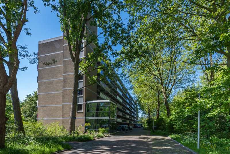 Ridder van Catsweg 315