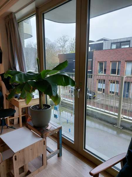 Mária Telkesstraat 12