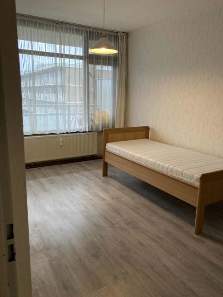 Koningsvarenstraat 234