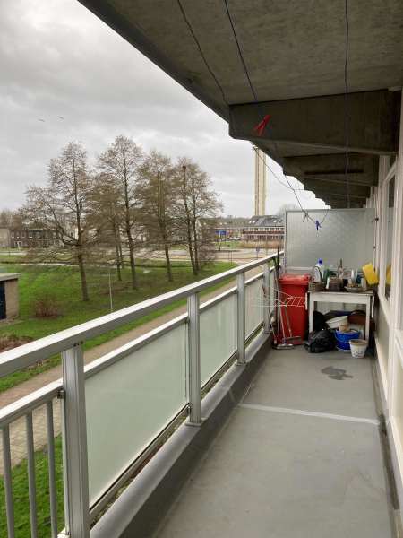 Koningsvarenstraat 234