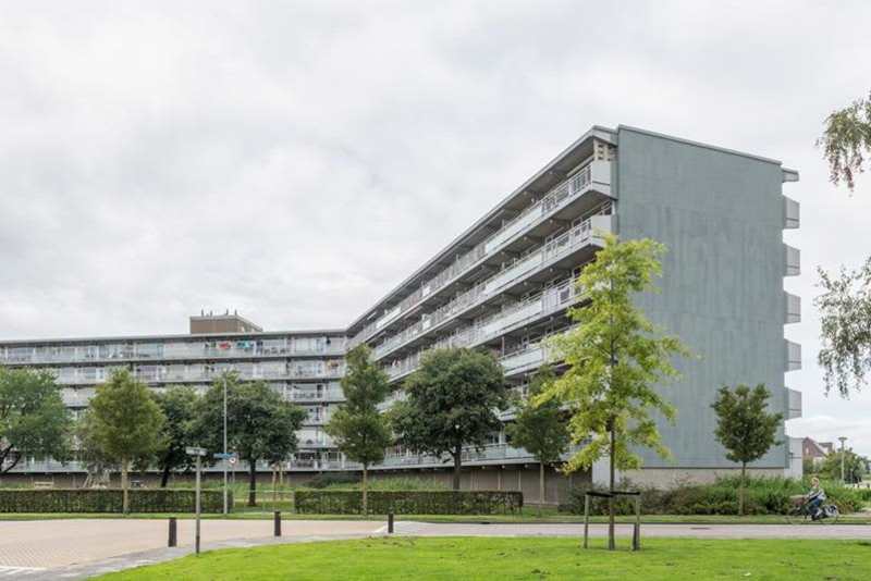 Koningsvarenstraat 234