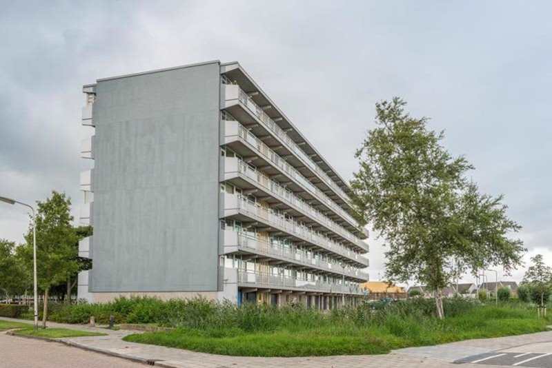 Koningsvarenstraat 234