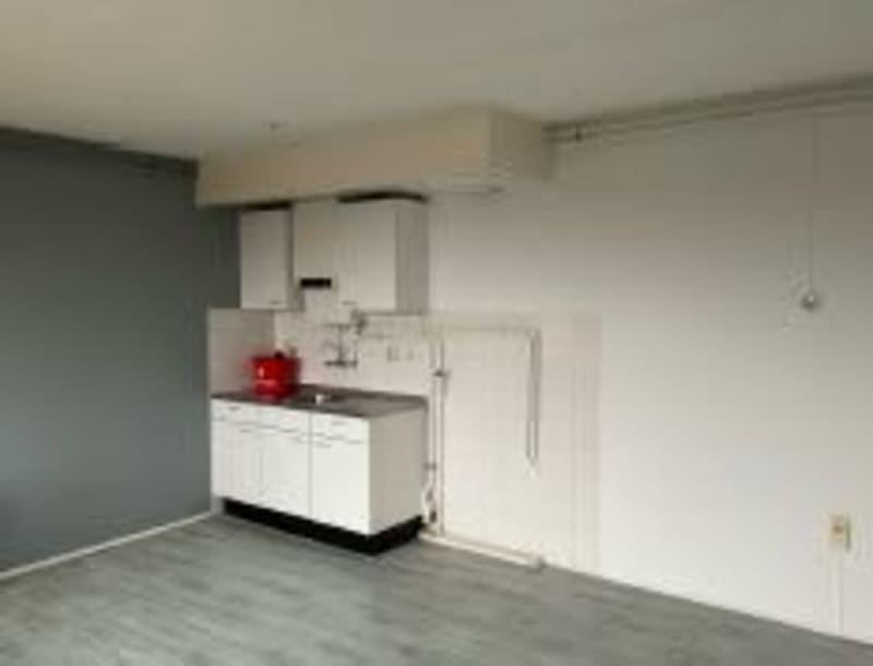 Alexander Dumaslaan 82