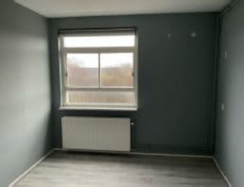 Alexander Dumaslaan 82