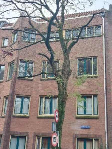 Smaragdstraat 72
