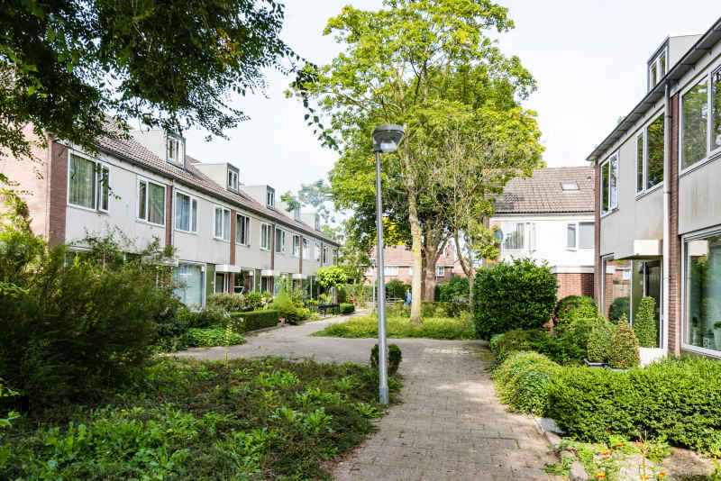 Couwenhoven 3336