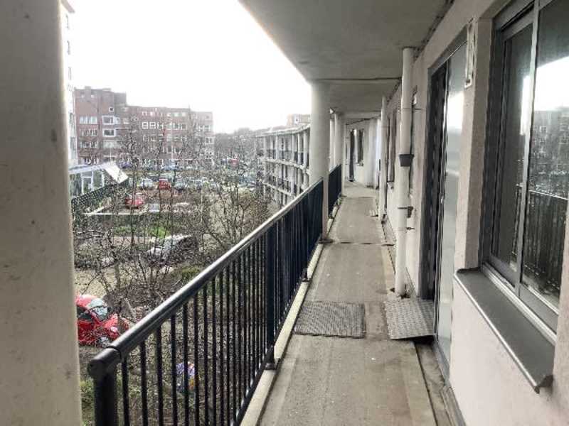 Bos en Lommerplantsoen 50