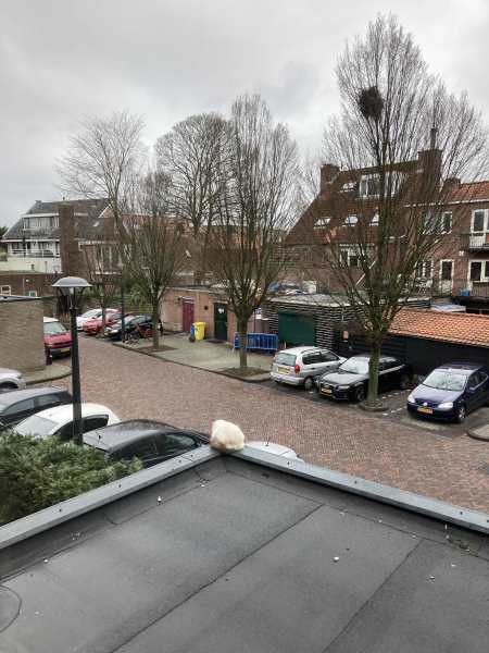 Burgemeester Bickerstraat 2D