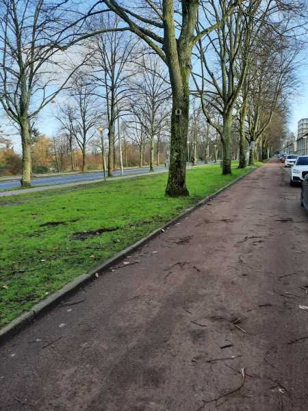 Hugo de Vrieslaan 115