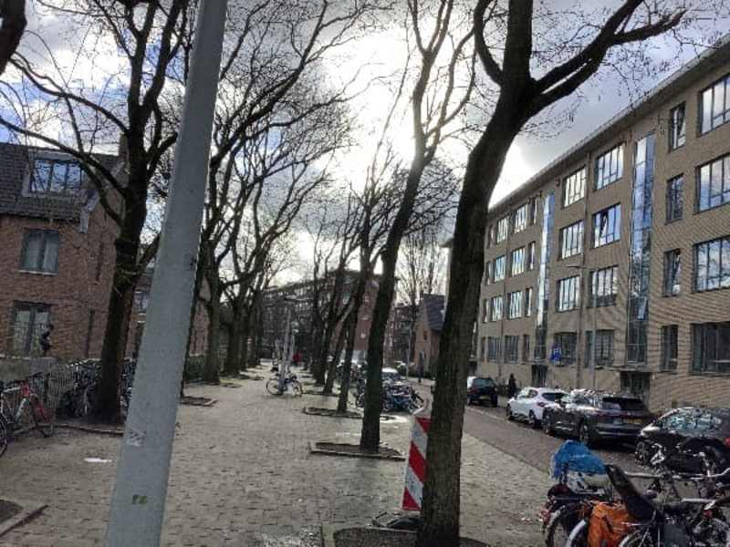 Hofwijckstraat 19