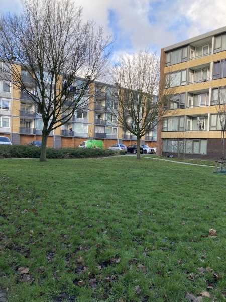 Poelenburg 88, 1504 ND Zaandam, Nederland