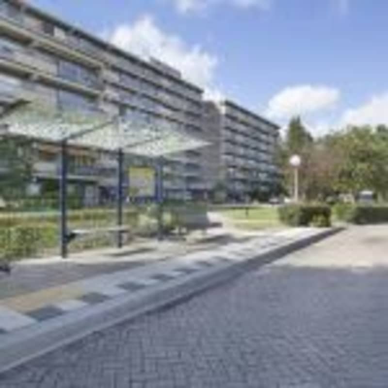 Dorresteinseweg 49421