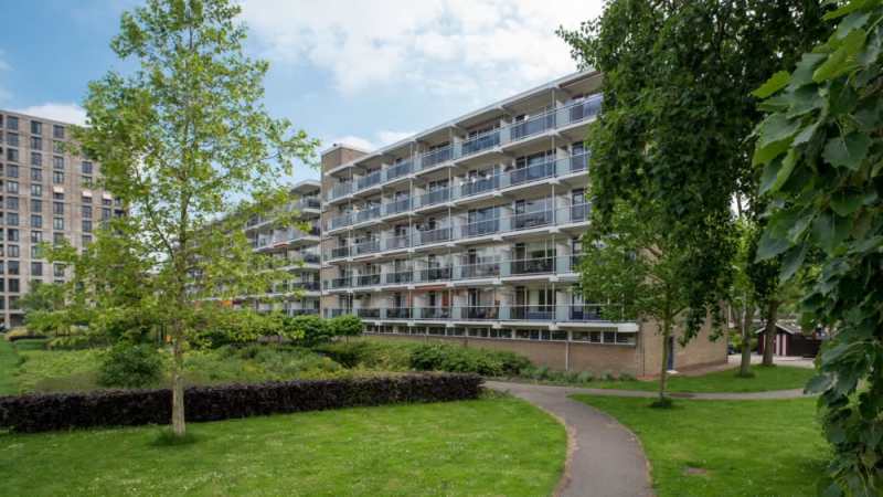 Tuinfluiterstraat 86