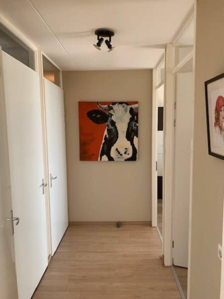 Constantijn Huygenslaan 431