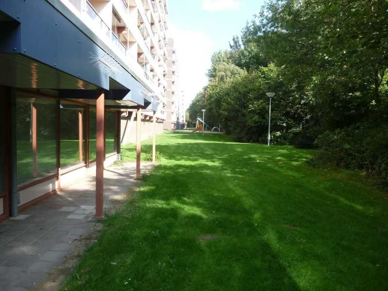 Van der Hagenstraat 557