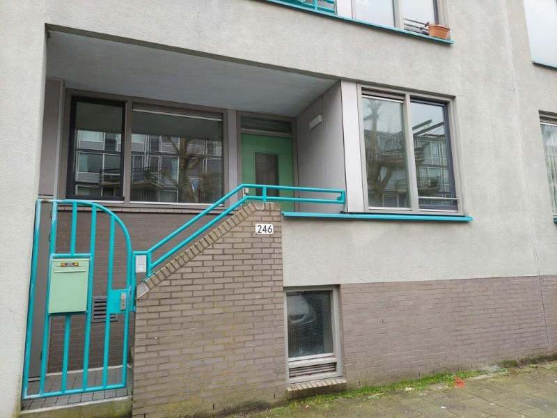 Pieter Vlamingstraat 246