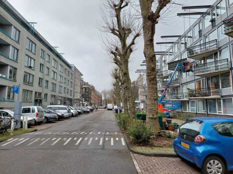 Pieter Vlamingstraat 246
