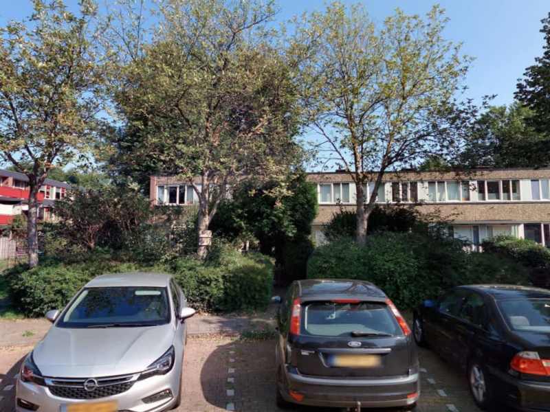 Boeg 25, 9733 EL Groningen, Nederland