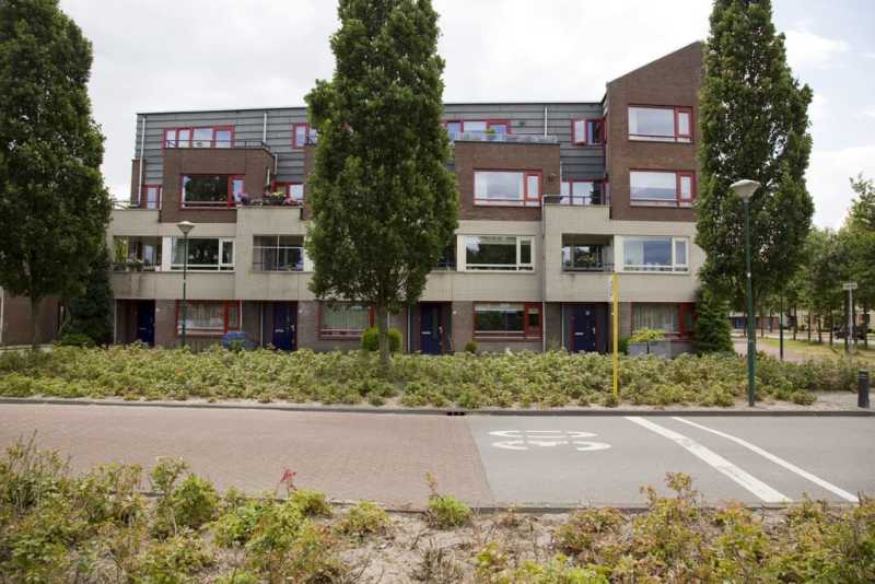 Honingzwam 19, 3903 GD Veenendaal, Nederland