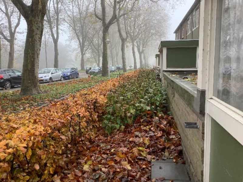 Burgemeester van Tienhovengracht 46HS