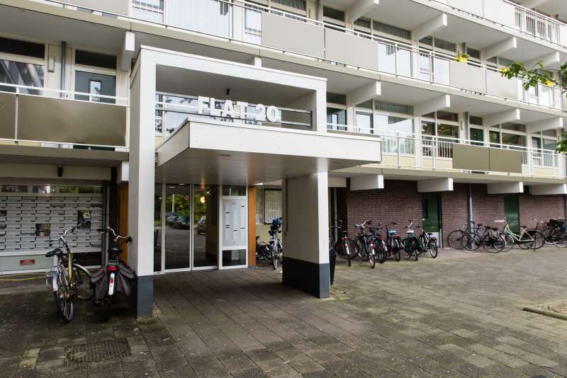 Couwenhoven 2801, 3703 VS Zeist, Nederland