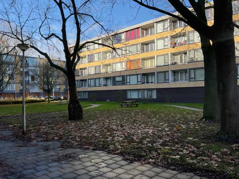 Poelenburg 100, 1504 ND Zaandam, Nederland